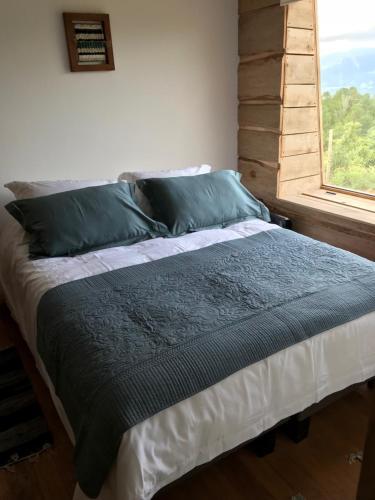 Lodge Caba�as Vistas Puc�n