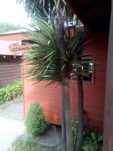 Apartamento Caba�a Pelli K�melka Puc�n