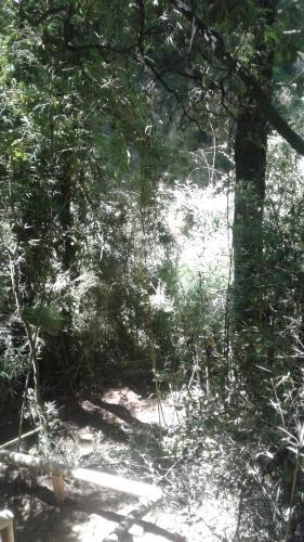 Caba�as Bosques De Loncotraro