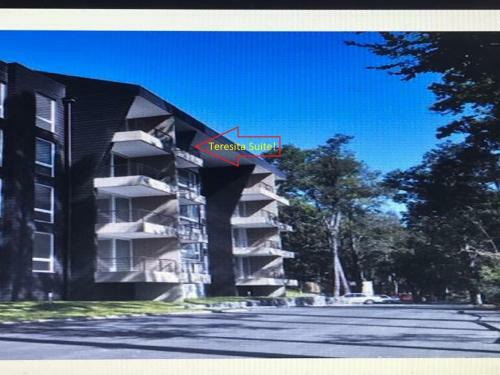 Apartamento Teresita Pucon Suite
