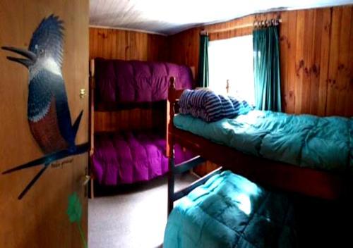 Paradise Downtown Puc�n Hostels