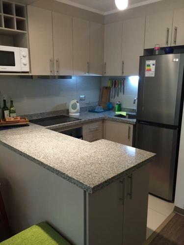 Apartamento Alojamiento Refugio Luna Puc�n