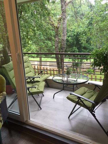 Apartamento Alojamiento Refugio Luna Puc�n