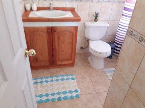 Apartamento Departamento Parque Suizo - Puc�n