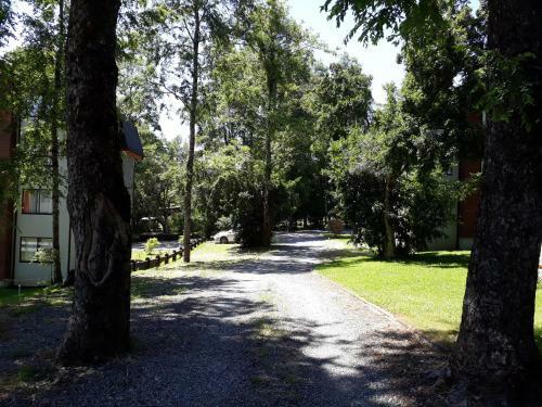 Apartamento Departamento Parque Suizo - Puc�n