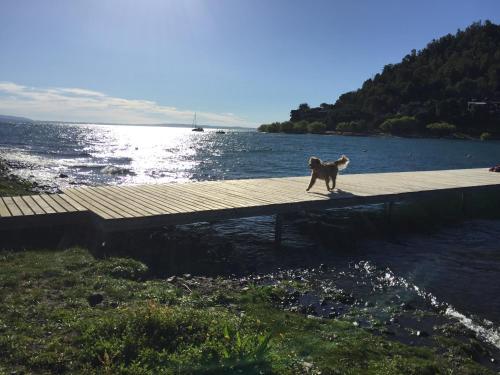 Apartamento Paraiso En La Patagonia R2-504