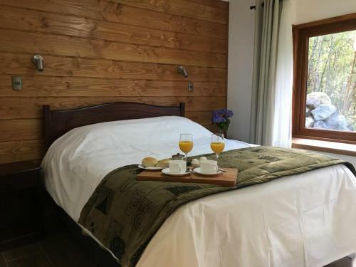 Lodge Casa Lingue Puc�n