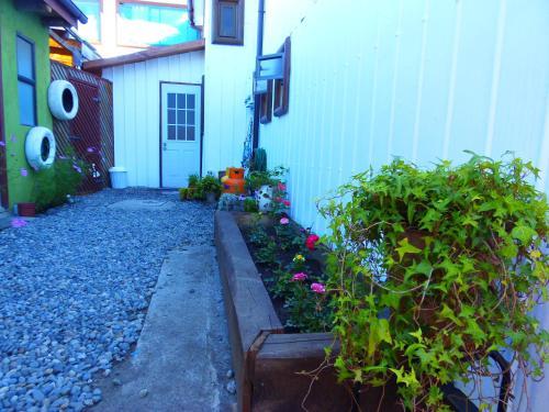 Apartamento Caba�as Disfruta Pucon