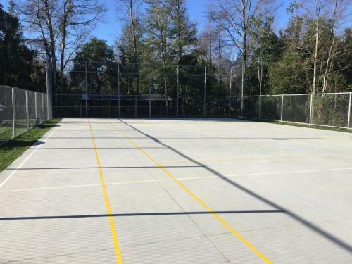 Apartamento Puc�n Parque Del Volc�n