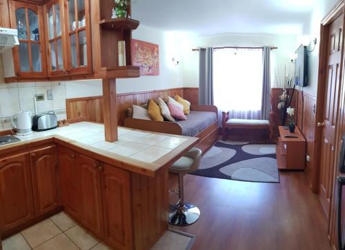 Apartamento Depto Parque Suizo 800
