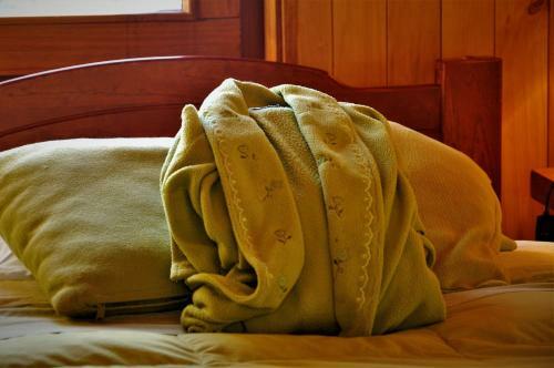 Bed & Breakfast San Lorenzo Lodge Pucon