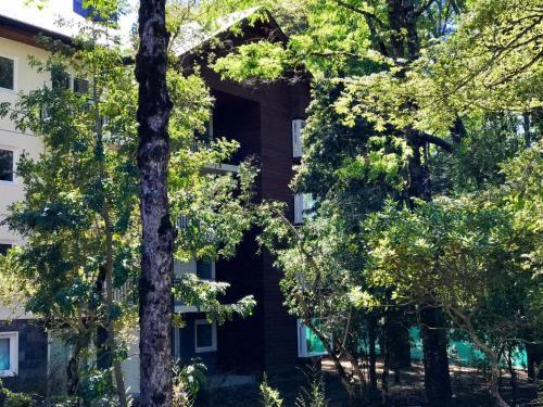 Apartamento Dpto 401 Pucon Andino