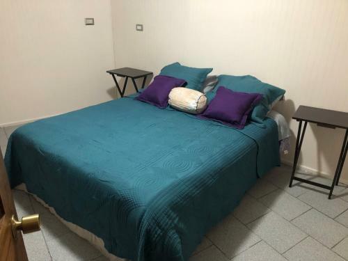 Hostal Apart Hotel Esesur