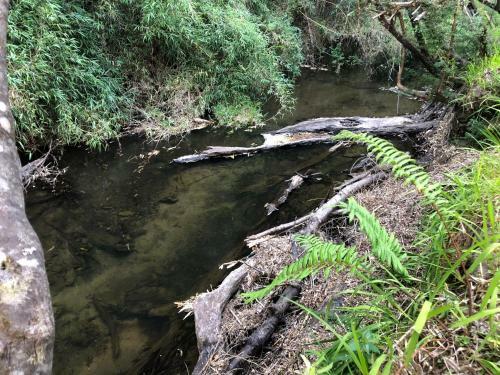 Caba�a En Parcela Sector Polincay