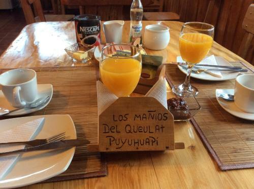 Bed & Breakfast Los Ma��os Del Queulat