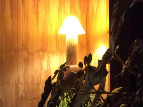 Bed & Breakfast Los Ma��os Del Queulat
