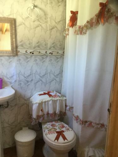 Hostal Y Caba�as Ventisquero