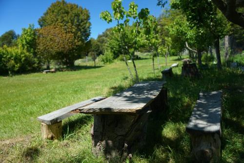 Camping R�o Chirifo