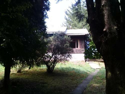 Home Therapies