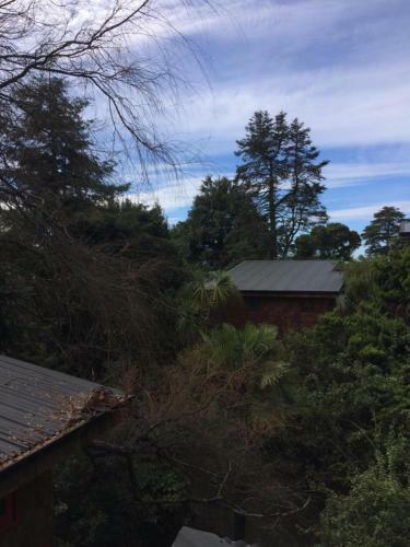 Lodge Almabosque Caba�as