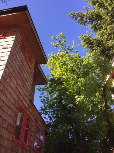 Lodge Almabosque Caba�as