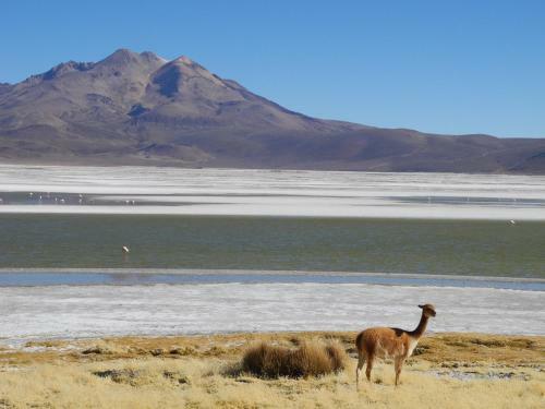 Hostal Vientos Del Altiplano