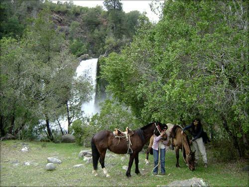 Caba�as Peumayen