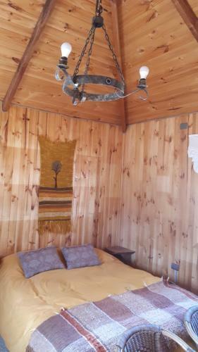 Caba�as Peumayen