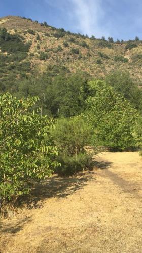 Domos Del Maipo Camp