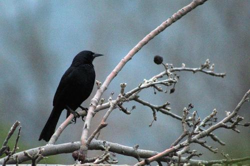 Casa Viento, Caj�n Del Maipo