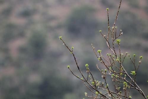 Casa Viento, Caj�n Del Maipo