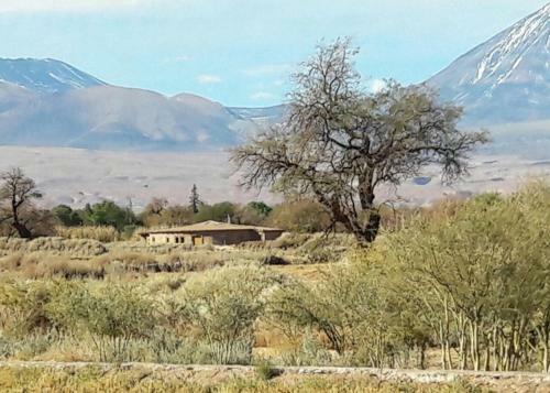 Vernacular Lodge
