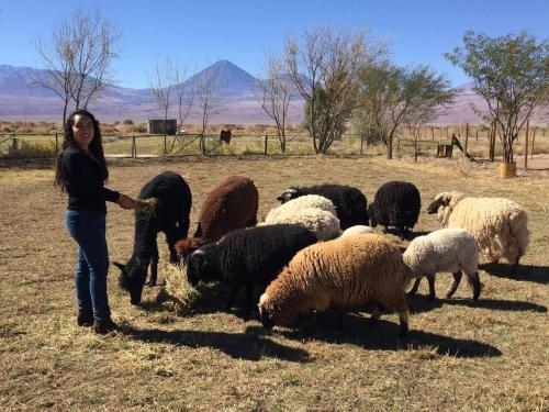 Lodge Caba�as Rural Pankara