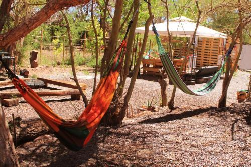 Hostal Ckapnati