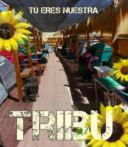 Camping Y Hostal La Flor De Vilca