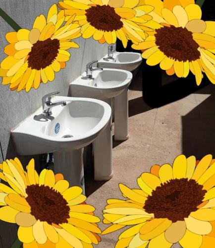 Camping Y Hostal La Flor De Vilca