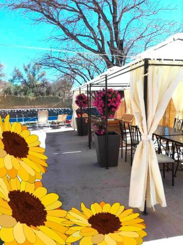 Camping Y Hostal La Flor De Vilca