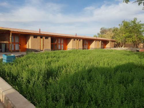 Albergue Ckausama North