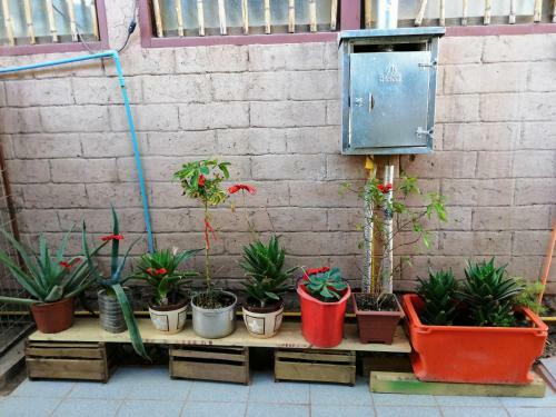 Albergue Hostal Matty