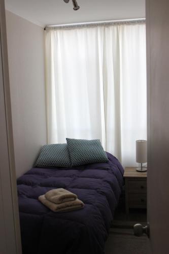 Apartamento Santiago Downtown San Isidro 337