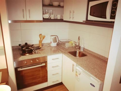 Apartamento Santiago Centro San Isidro