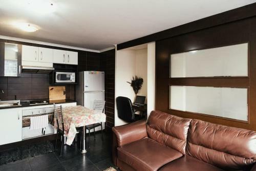 Apartamento Flat In Santiago Center