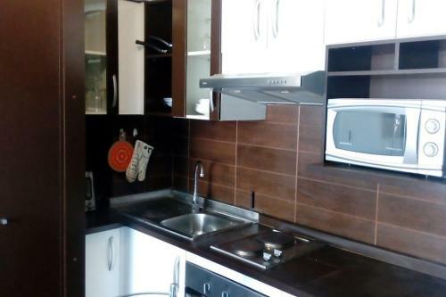 Apartamento Flat In Santiago Center