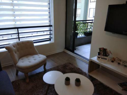 Central Apartment Santiago