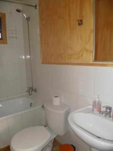 Apartamento Caba�as Travel Choshuenco