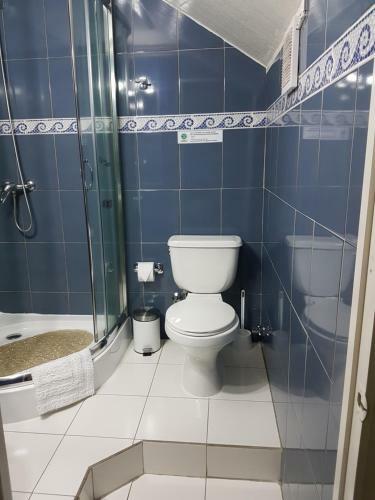 Hotel Hostal Pehuenche