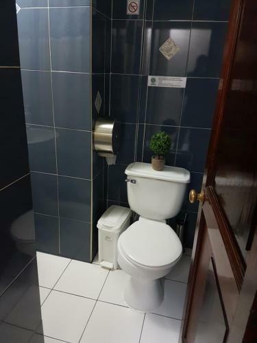 Hotel Hostal Pehuenche