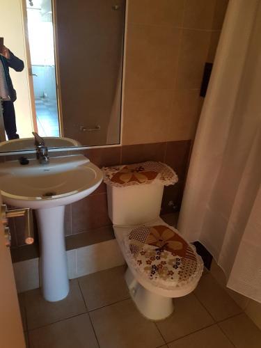 Apartamento Departamento Centrico