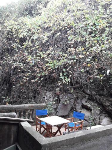 Albergue Hostal Triciclo