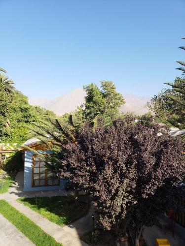 Bed & Breakfast Hostel Antawara De Elqui